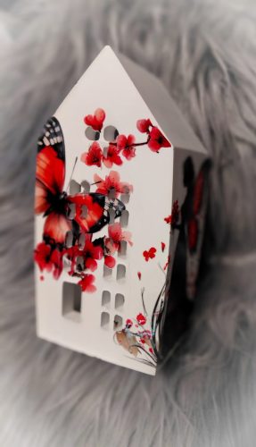 photostudio 1770305038361